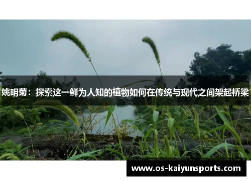 姚明菊：探索这一鲜为人知的植物如何在传统与现代之间架起桥梁