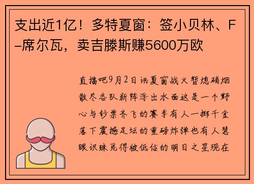 支出近1亿！多特夏窗：签小贝林、F-席尔瓦，卖吉滕斯赚5600万欧