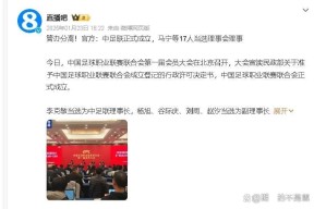 开云体育在线-2020赛季中超裁判